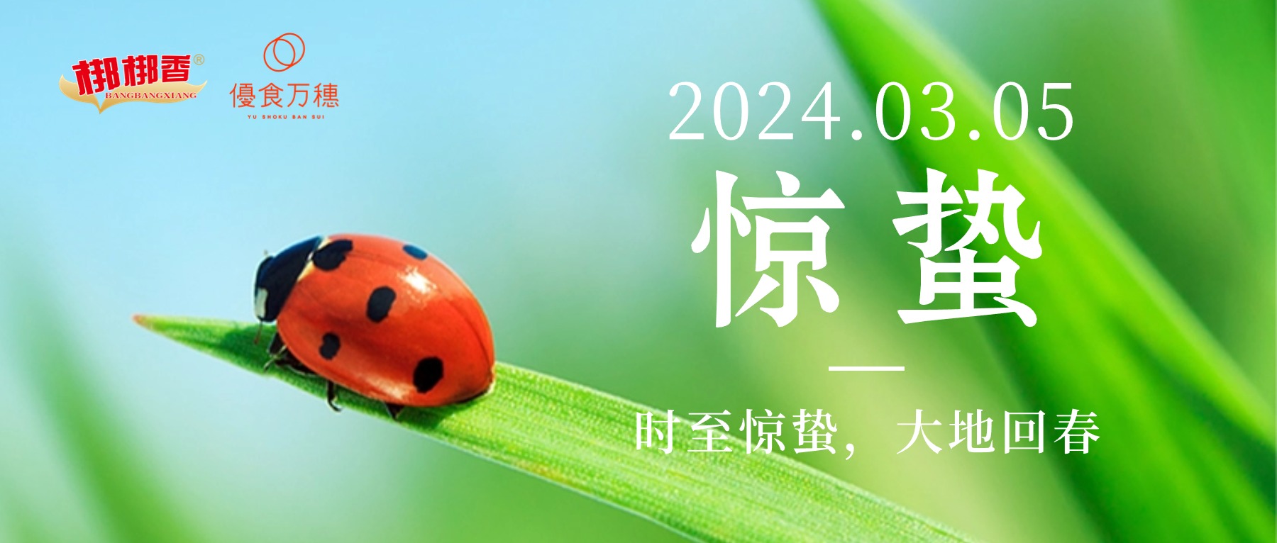 cba3c5ca-fbf6-4d1e-83d3-6799cf8cf611.jpg