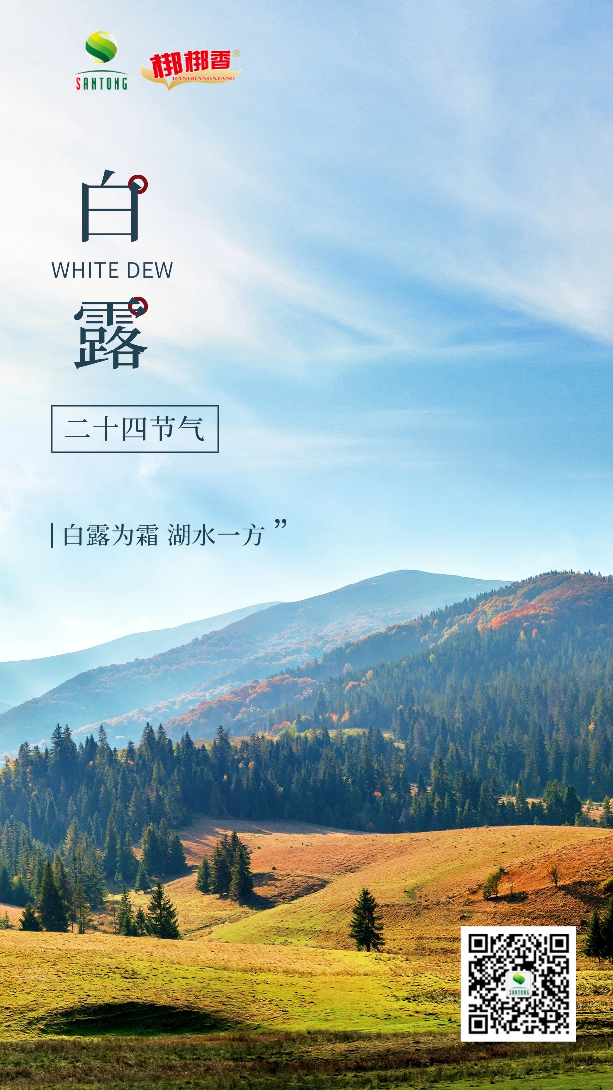 白露节气祝福实景蓝天手机海报.jpg