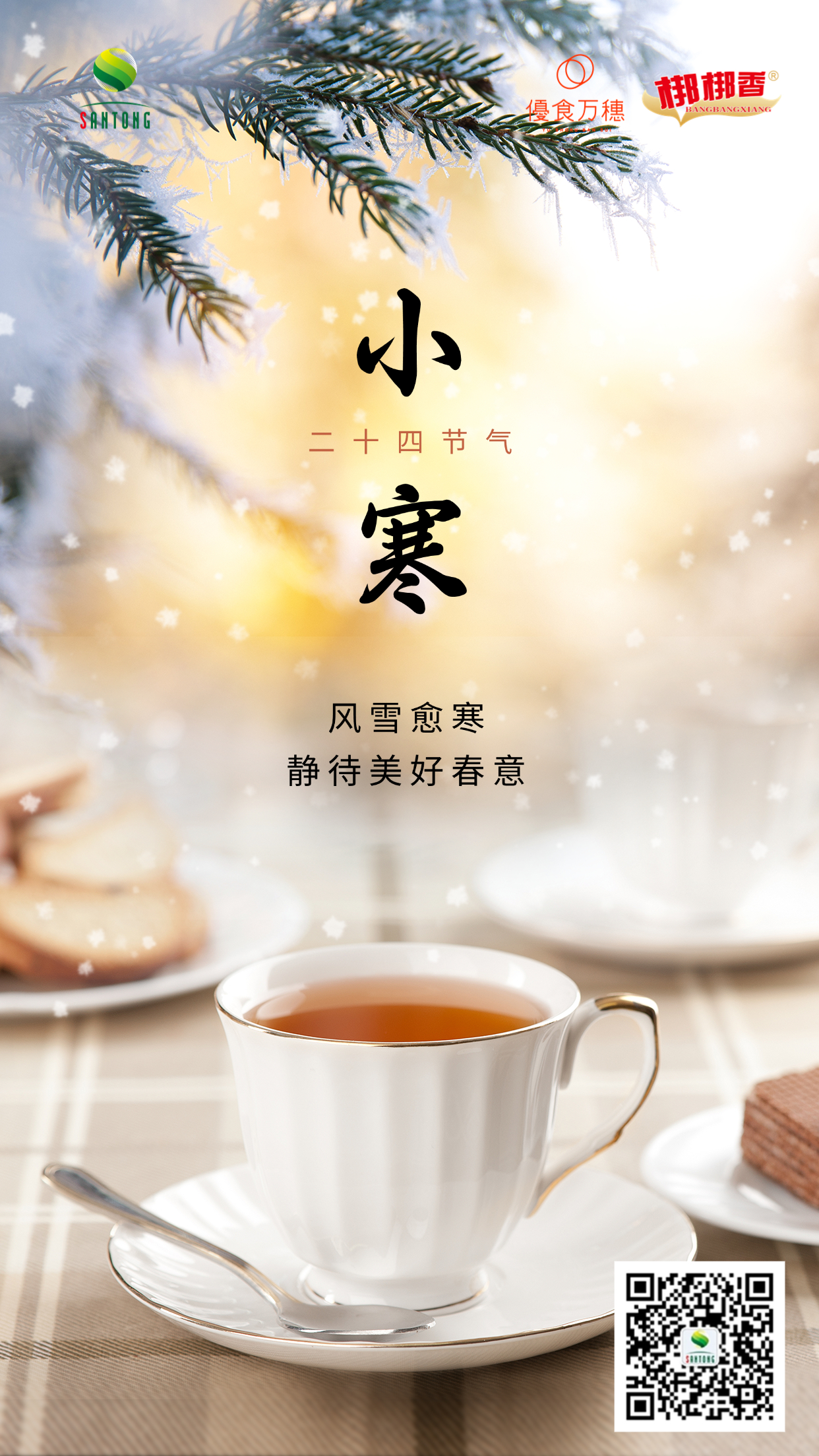 小寒节气祝福冬日飘雪手机海报.jpg