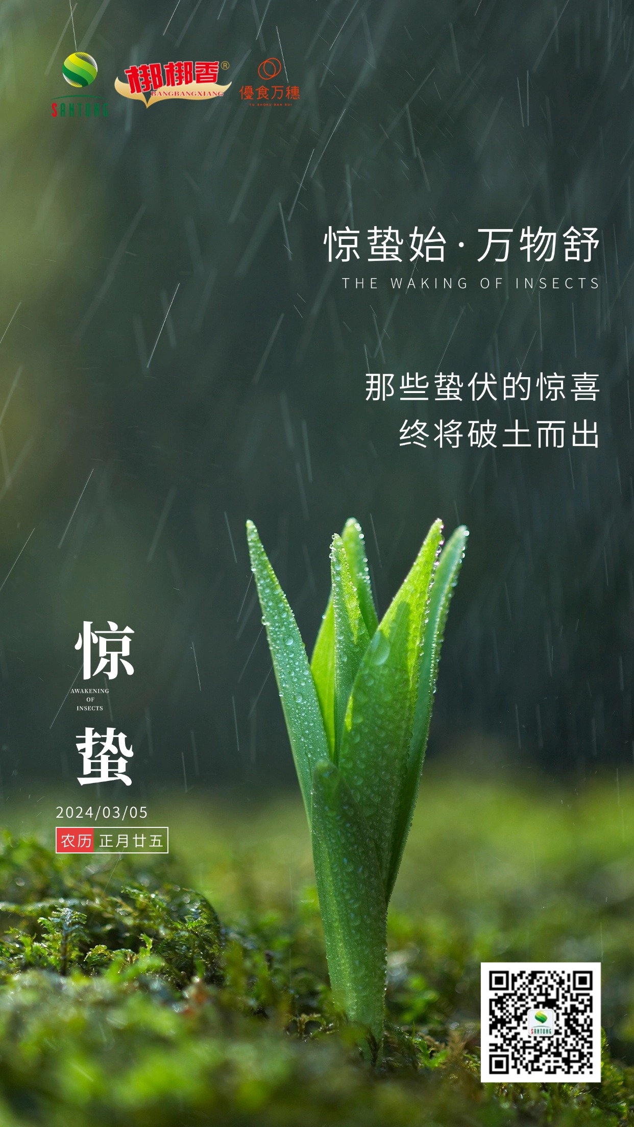 惊蛰节气祝福实景合成手机海报.jpg