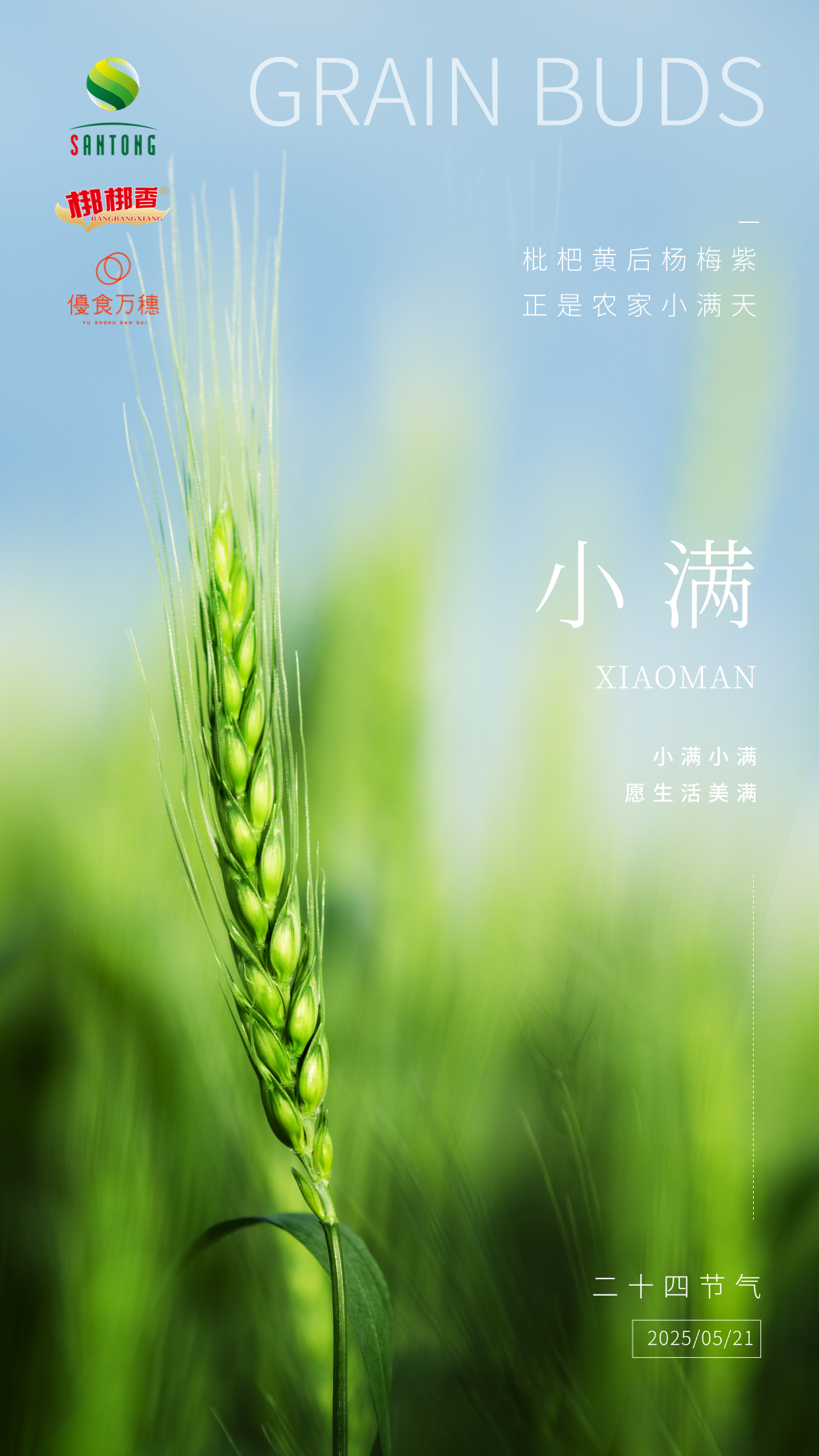 食品 小满.jpg