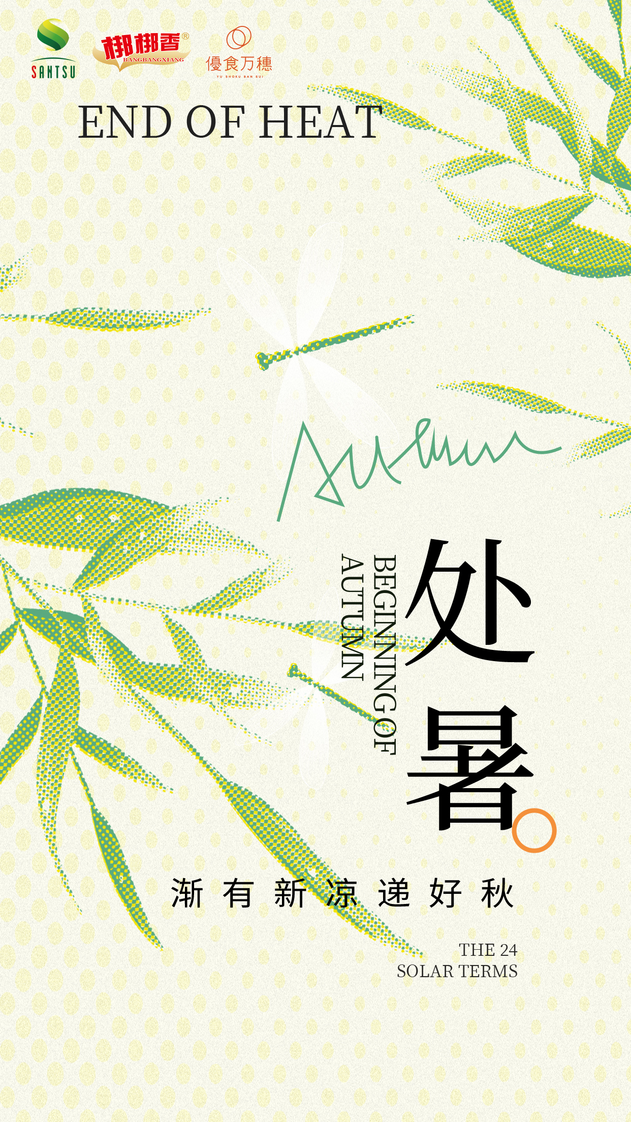 三通处暑.jpg
